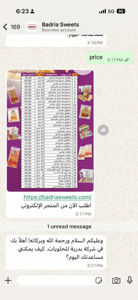 User Chat Experience