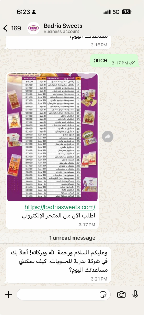 User Chat Experience